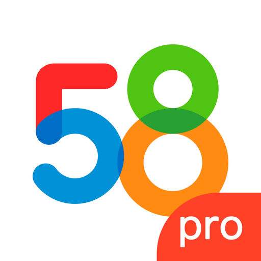 58(图1)